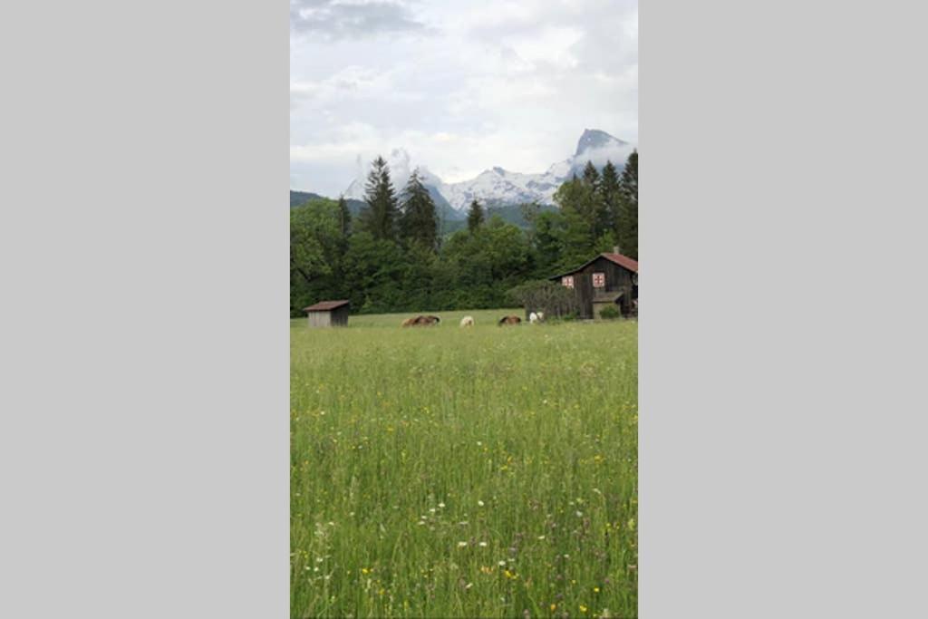 Villa Chalet Alliance Entre Calme Et Plaisir Morillon Exterior foto
